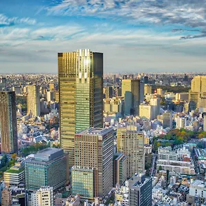 ***** Hotel The Ritz-carlton, Japan